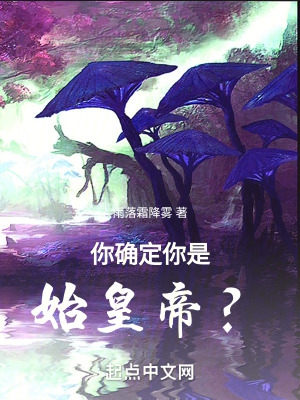 你确定你是始皇帝？